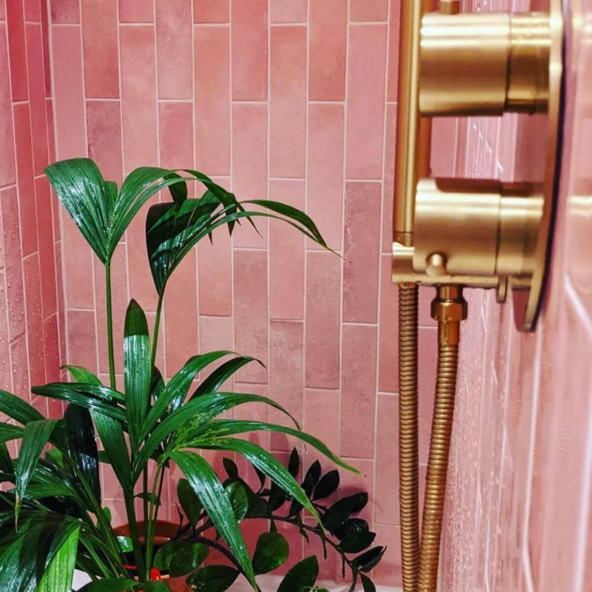 Paris Rose Brick Wall Tiles laid in a stepladder pattern in a shower enclosure